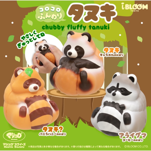 ibloom 日本 正版 可愛 軟綿綿的浣熊 盒裝 squishy 軟軟 捏捏 慢回彈 紓壓
