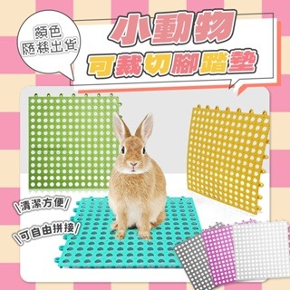 【現貨】小動物可裁切腳踏墊 兔用腳墊 小寵專用踏墊 天竺鼠踏墊 鼠兔用底板 兔子地墊 兔子踏墊 小寵腳墊 兔用踏墊