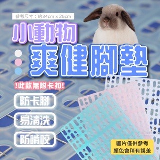 【現貨】?快速出貨? 兔用爽健踏板 爽健腳墊 兔子踏墊 寵物爽健底板 兔用腳墊 小寵專用踏墊 天竺鼠踏墊鼠兔用底板