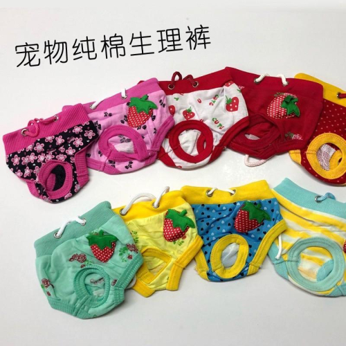 【台灣現貨】條紋寵物生理褲 寵物生理褲/狗狗生理褲/狗生理褲/狗內褲/寵物內褲可愛寵物生理褲
