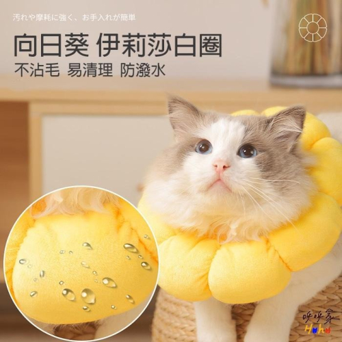 寵物向日葵頭套 防舔防抓 寵物軟式頭套