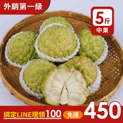 預購中【果樂釋迦專賣】大目釋迦中果/5斤一盒