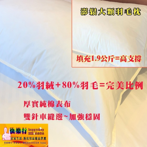 純棉表布 100% 羽毛枕 近 2KG 大枕 立體 羽絨枕 飯店專用 天然羽毛枕 高支撐枕 彈性佳 天然羽毛 飯店 枕頭