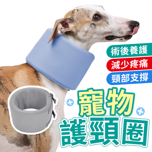現貨? 寵物護頸圈 頸托 支撐頸椎 固定頸椎 護頸 狗落枕固定 脖圈 狗脖子扭傷固定支撐 頸椎固定 狗頸椎術後康後