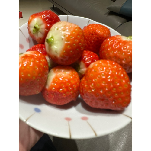 ASHLEY小雜貨