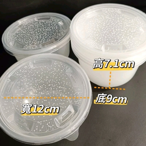 當天 快速出貨 飼養盒 500cc 厚實 昆蟲 孵化盒 麵包蟲 黑水虻 布丁杯 兜蟲 甲蟲 雞母蟲 獨角仙 鍬形蟲