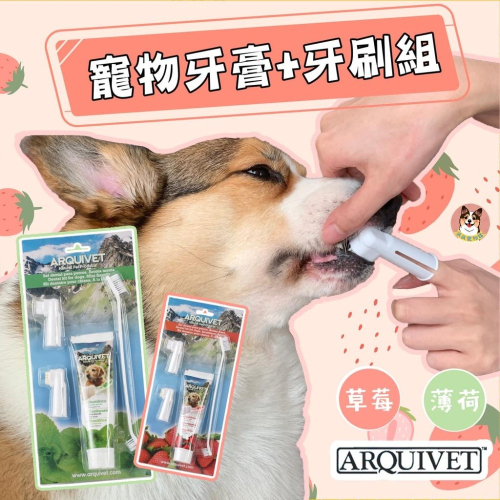 ARQUIVET 寵物牙膏+牙刷? 狗牙膏 狗狗牙膏 狗牙刷 寵物牙膏 狗刷牙 寵物指套牙刷 狗狗牙刷狗狗用品寵物清潔