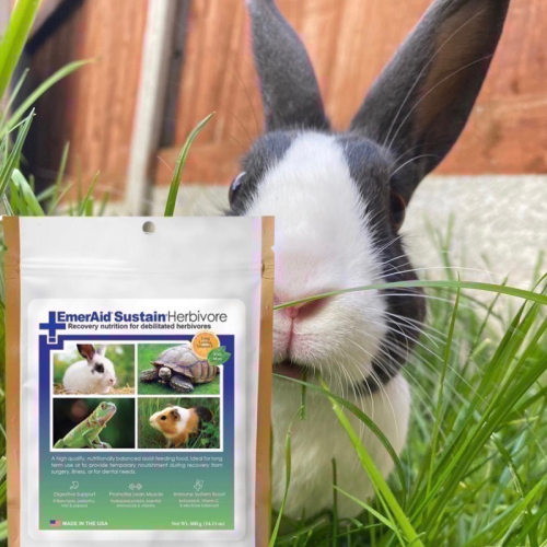 Emeraid Sustain Herbivore 艾茉芮 草食動物恢復期配方 營養草粉
