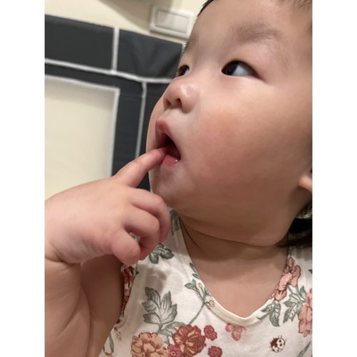 苗栗1