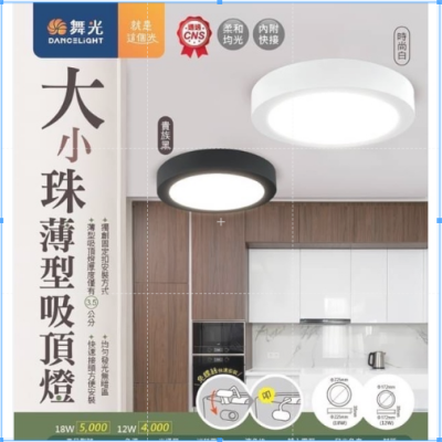 大小珠吸頂燈(12W/18W)(白光/暖白/自然光)(黑/白)(非調光)