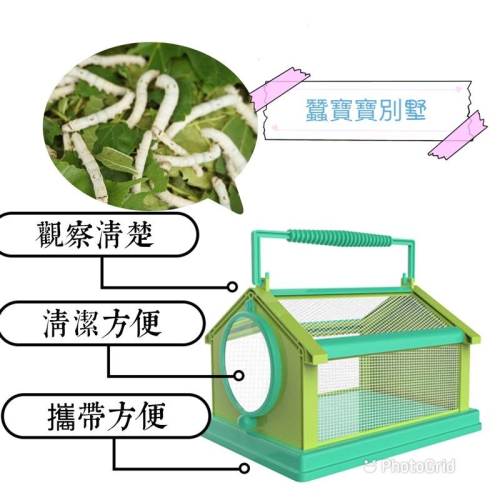 【手提昆蟲籠 】觀察盒 觀察箱 蝴蝶籠 戶外探險 昆蟲觀察 昆蟲 蠶寶寶 兒童手提籠 觀察網觀察網 網子 觀察 戶外
