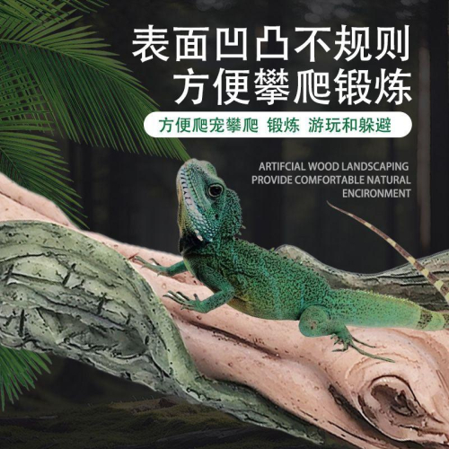 【臥水族】爬寵飼養缸雨林造景攀爬模擬樹木微景觀趣味枯木樹枝樹脂實心擺件