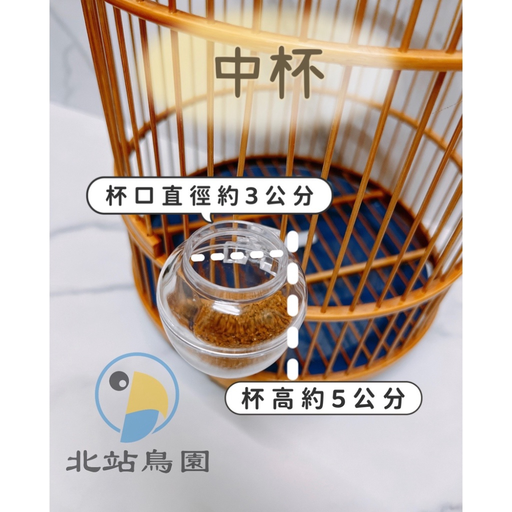 勝利牌石燕中獅杯 / 綠繡眼、觀賞鳥、燕科、雀鳥科、直鼓籠、石燕籠 / 可任意掛籠子、搭配添料湯匙使用