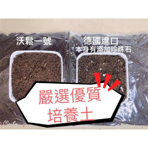 【外星人的植物園】泥炭土 椰纖土 介質 德國進口 高溫殺菌現貨【滿額免運】