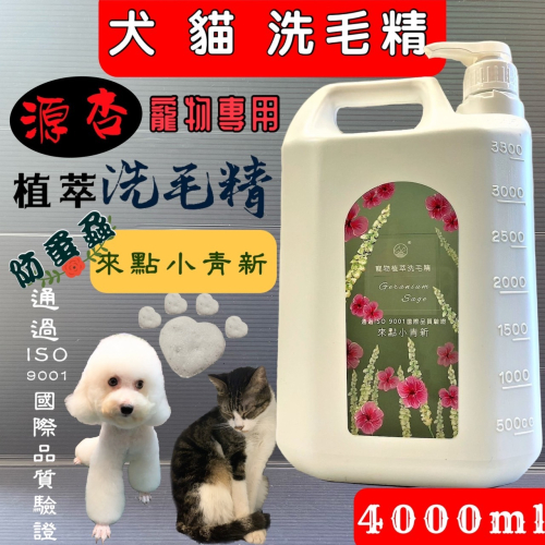 大容量★JIA★源杏 寵物專用 植萃洗毛精 來點小青新 4000ml/瓶《 防蚤蝨系列》犬 貓 狗 專用 沐浴露