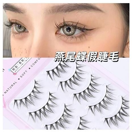 燕尾蝶 假睫毛 五對裝