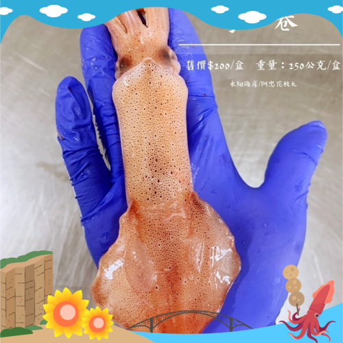 《澎湖名產》永翔海產/阿忠花枝丸 掌心卷