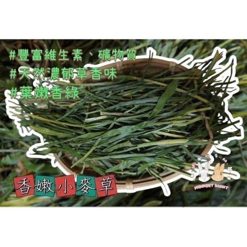 小麥草 400g 帶梗小麥草 牧草 寵物草 葉多 枯葉少 兔子 天竺鼠 龍貓