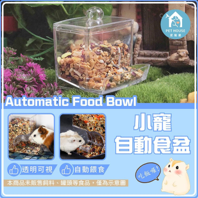 [台灣現貨 快速出貨]倉鼠食盆 倉鼠碗 倉鼠飼料碗 倉鼠自動餵食器 寵物碗 小寵食盆 小寵碗 倉鼠 鳥類 壓克力碗