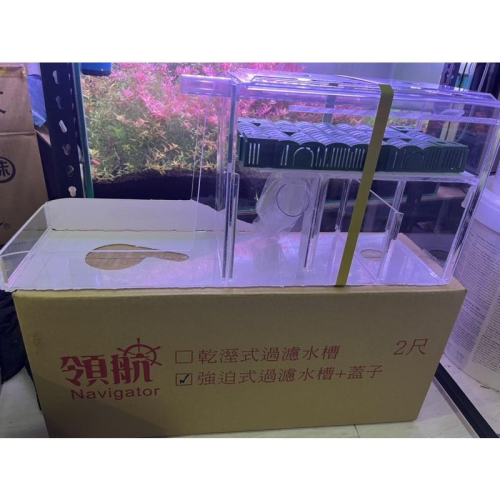 【臥水族】領航 2尺 3尺壓克力 乾濕分離 過濾槽【強迫式】60cm 邊條缸用/開放缸用 限宅配 上部過濾