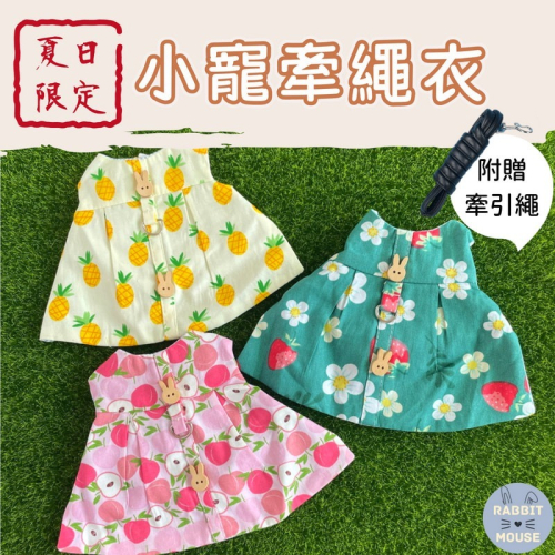 『現貨』兔子牽繩 兔子衣服 兔子外出 兔子 牽繩 牽繩兔子 兔子牽引繩 兔子牽繩衣 兔子洋裝 兔子牽繩衣 兔兔外出