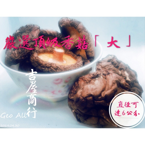 【好吃推薦】嚴選頂級【大】香菇??吉屋商行 Geo All??煮香菇雞湯，一次最多可購20包