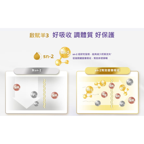 Wyeth 惠氏 illuma 啟賦羊幼兒成長配方（4罐裝）