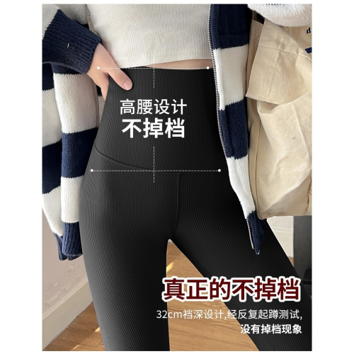 台灣現貨 新款鯊魚褲豎條紋鯊魚褲女春秋款高腰提臀瘦腿瑜珈褲緊身褲