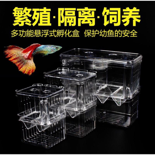 【臥水族】盒孔雀魚繁殖魚缸亞克力隔離盒特大號產卵孵化產房小魚苗幼大小魚