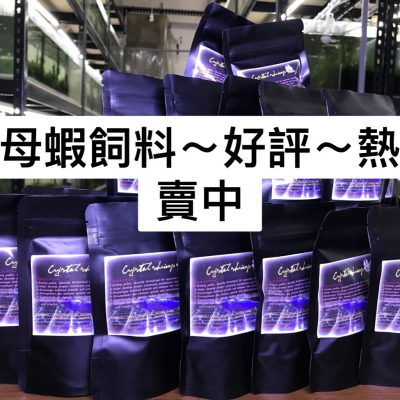手工～母蝦抱卵飼料,卵 ,蛋