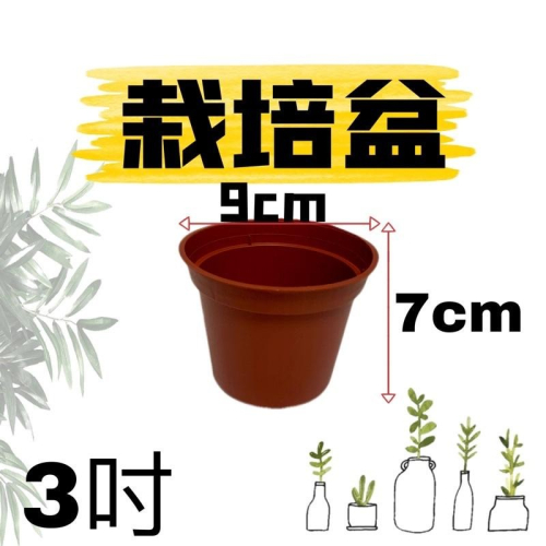 3吋栽培盆 紅盆 育苗盆10個/組