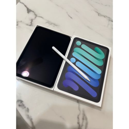 iPad mini (第六代）256g Wi-Fi