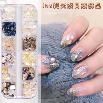 ins網紅同款美甲飾品 12格貝殼片鮑魚片貝殼石混合飾品 天然貝殼片