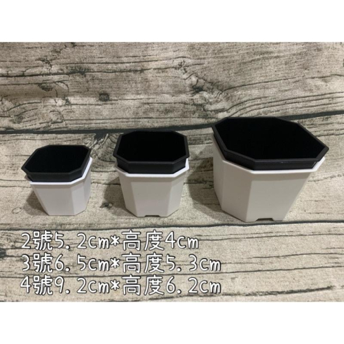 八角盆 多肉盆 多肉花盆 塑膠花盆 花盆 造型花盆 透氣盆 盆栽 花盆 多肉 可愛花盆