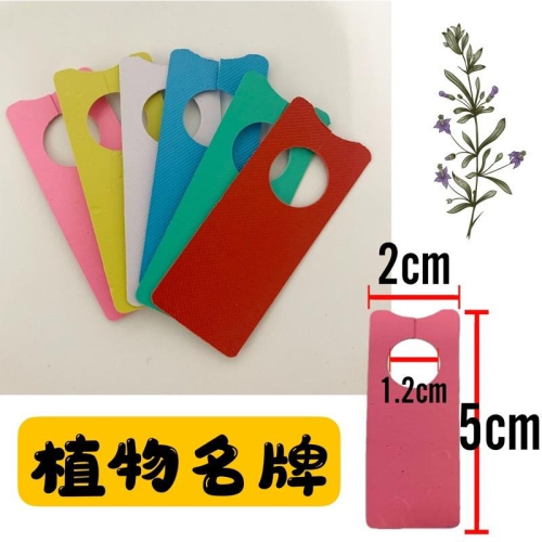 現貨-植物標籤 花牌 植物名牌 園藝標籤 多肉植物標籤