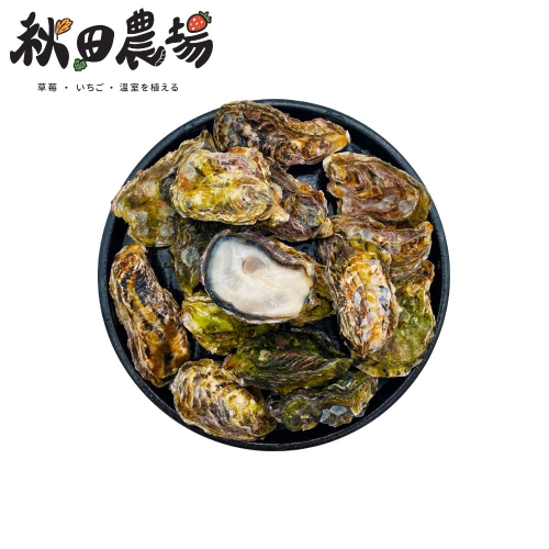 【秋田市集】日本全殼生蠔2L 生食級 牡蠣 台中市滿額$600免運│中秋│燒烤│美食團購│食品批發