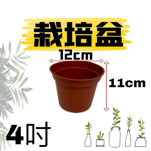 4吋 栽培盆 紅盆 育苗盆10個/組
