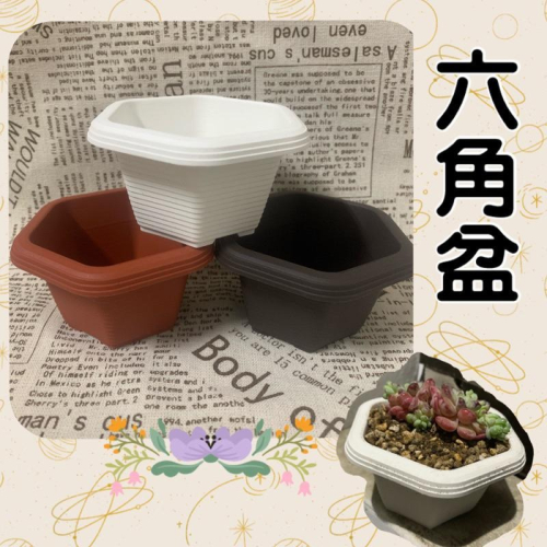 六角盆 六角淺盆 多肉盆 日式盆