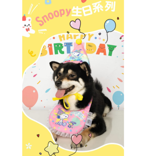 【Kashima X Snoopy】史努比寵物生日組(帽子+口水巾)可以是玩具也可以是服飾 綁繩抽繩設計 含響紙 貓狗