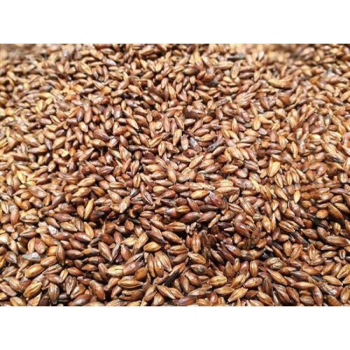 炒大麥600克/黃金麥茶/Fried Barley 大麥茶一斤 泡茶解膩解渴