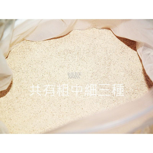 核桃顆粒-粗-50克-正勤含稅