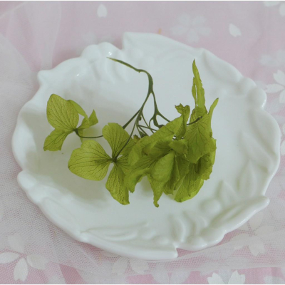 eflora 日本進口美葉繡球 大地農園 不凋花 繡球花 永生花 花材 手作 繡球 情人節 聖誕 01900-701