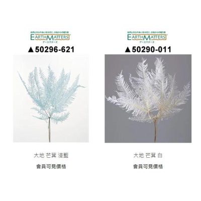 大地農園 永生芒萁 2022新色 50296 412 202 781 081 621 011 捧花 花束 DIY