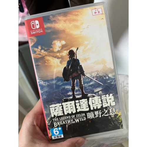 薩爾達*2