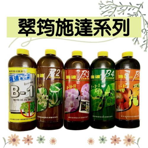 施達 B1 B2 B3 B4 B5 300cc