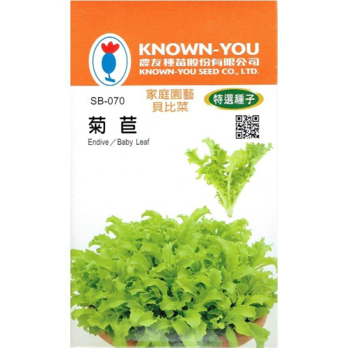 四季園 菊苣-貝比菜【農友種苗】特選蔬菜種子 baby菜 播種期:秋至春 25天即可採收 辦公室或單身的最佳選擇