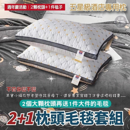 滿天星高回彈枕頭2顆+送超細緻法蘭絨毛毯/現貨不用等/宅配免運