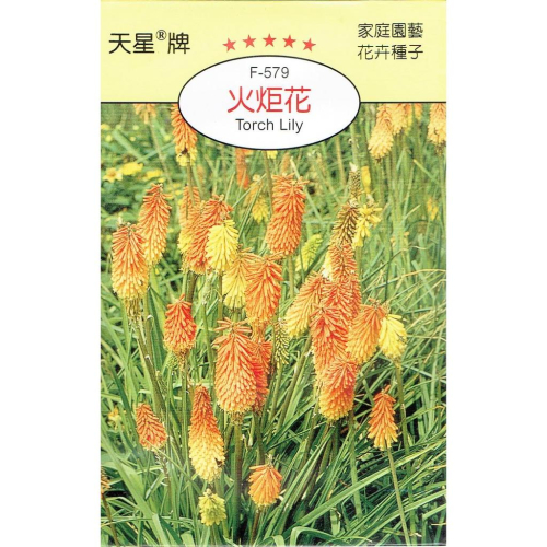 四季園 火炬花【穗耕種苗】天星牌 花卉原包裝種子 花語:熱情、光明、有幹勁，思念之苦 保證新鮮種子