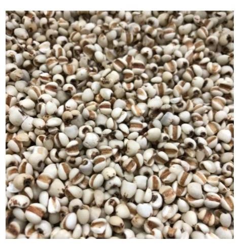 大薏仁 白薏仁600g 嚴選超完整
