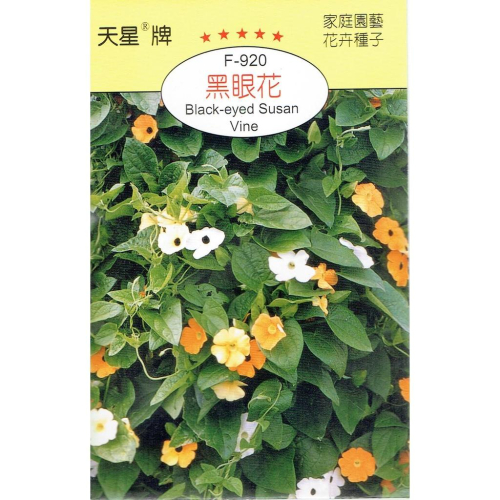 四季園 黑眼花【穗耕種苗】天星牌 花卉原包裝種子 花語:守護 新鮮種子
